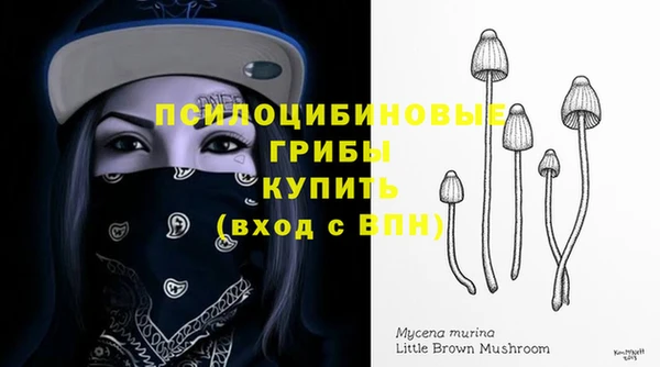 амф Гусиноозёрск