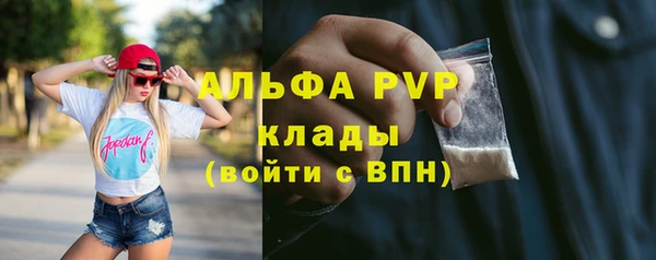 Альфа ПВП Гусев