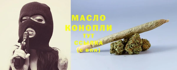 амф Гусиноозёрск