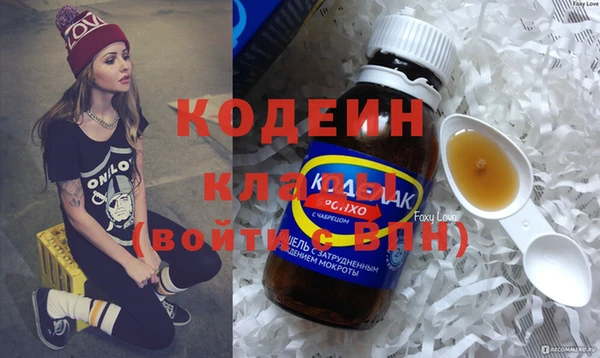 Альфа ПВП Гусев
