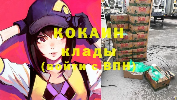 Альфа ПВП Гусев