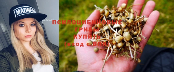Альфа ПВП Гусев