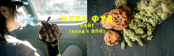 амф Гусиноозёрск