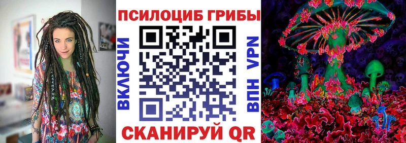 Купить где  Новохопёрск  Псилоцибиновые грибы мицелий 