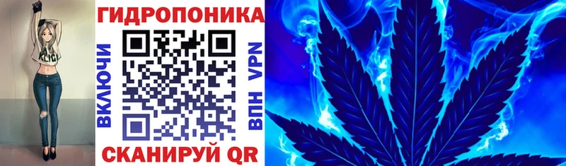 Купить  Новохопёрск  Конопля ГИДРОПОН 